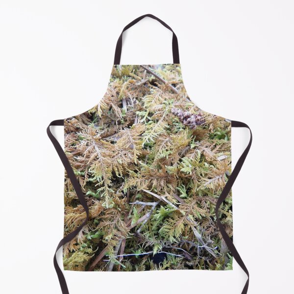 Item preview, Hook-Leaved Fern Moss designed and sold by gistinker.