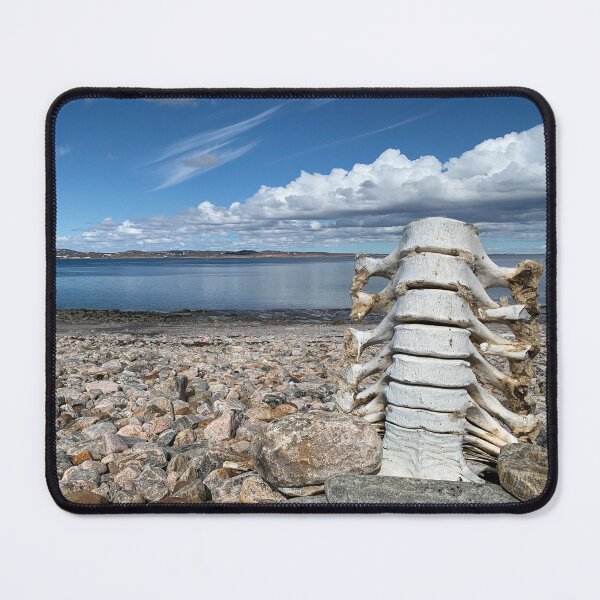 Item preview, Kinngait Whale Bones Standing Arctic Ocean Lowtide designed and sold by ColdCreekCanvas.