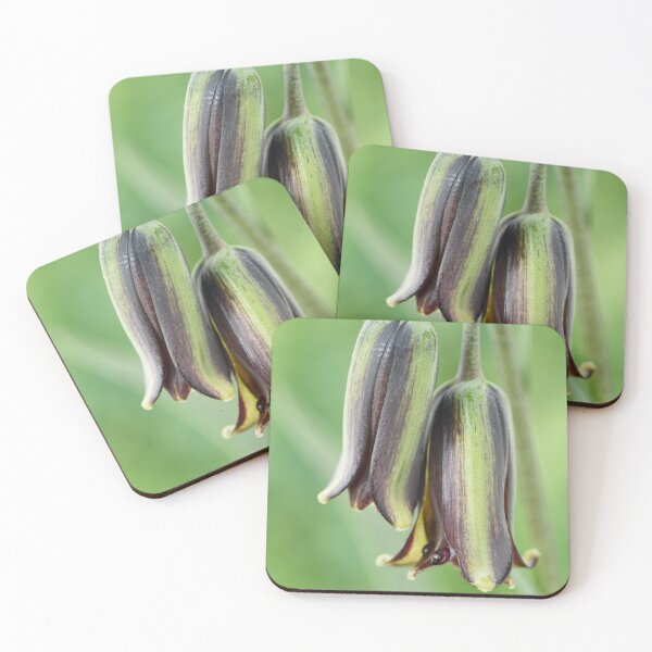 Item preview, Fritillaria elwesii  Fritillary  designed and sold by Chris Burrows.