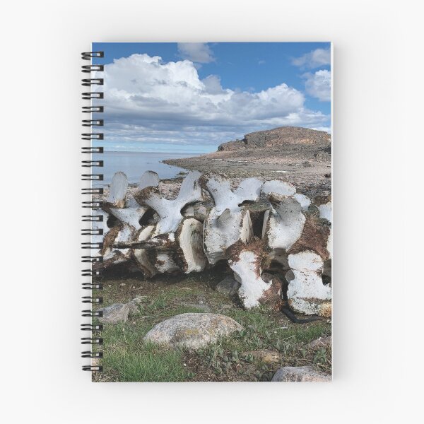 Item preview, Kinngait Whale Bones Arctic Ocean Lowtide designed and sold by ColdCreekCanvas.