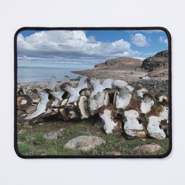 Item preview, Kinngait Whale Bones Arctic Ocean Lowtide designed and sold by ColdCreekCanvas.