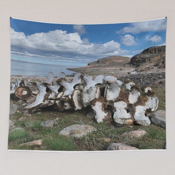 Item preview, Kinngait Whale Bones Arctic Ocean Lowtide designed and sold by ColdCreekCanvas.