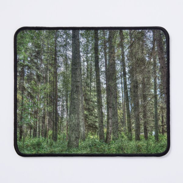 Item preview, Gull Lake Back Yard Landscape dt Grunge designed and sold by ColdCreekCanvas.
