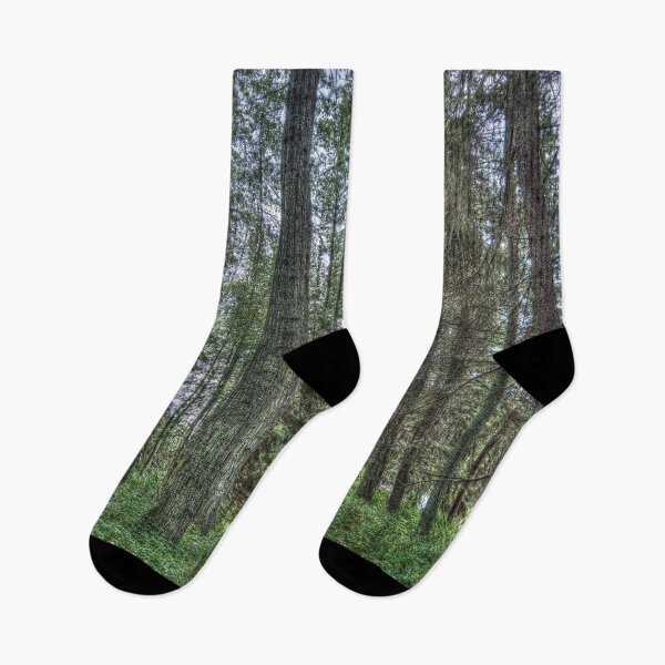 Item preview, Gull Lake Back Yard Landscape dt Grunge designed and sold by ColdCreekCanvas.