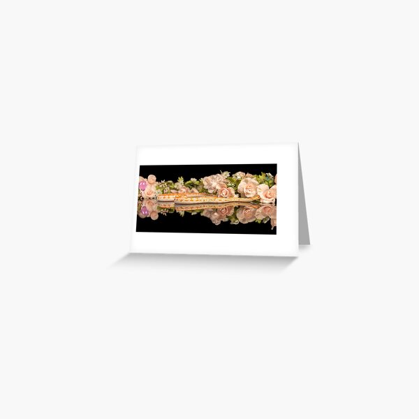 Spring Corn Snake Greeting Card