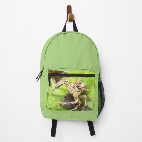 Item preview, Jumping spider (Plexippus sp) designed and sold by RanranBugs.