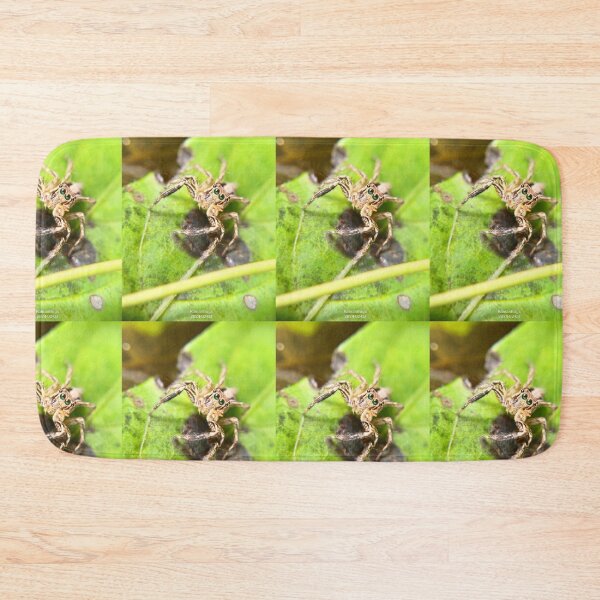 Item preview, Jumping spider (Plexippus sp) designed and sold by RanranBugs.