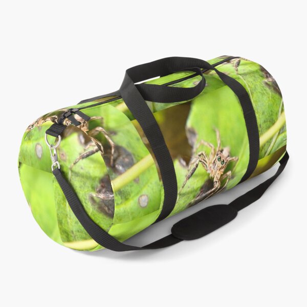 Item preview, Jumping spider (Plexippus sp) designed and sold by RanranBugs.
