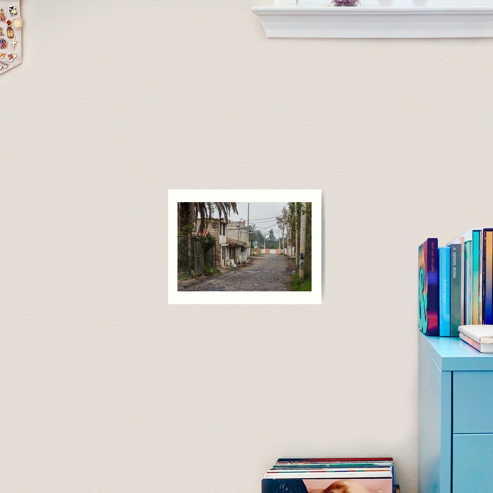 Rural street with buildings and utility poles in Puembo, Ecuador Art Print
