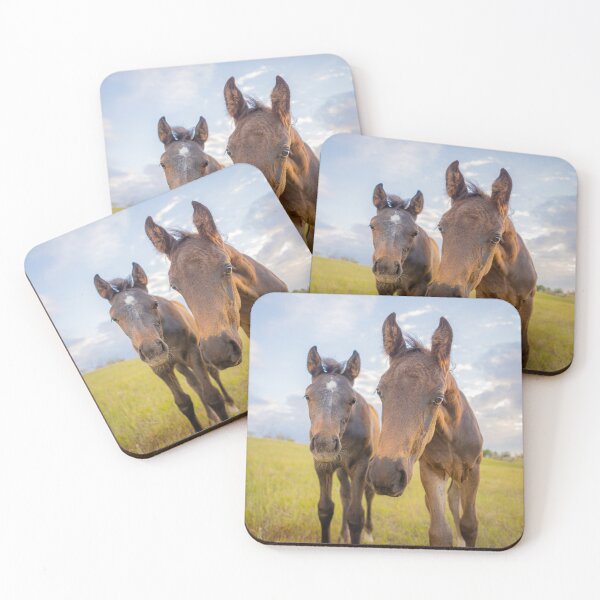 Item preview, two curious foals, baby horses, colt & filly designed and sold by PTPhotoLLC.