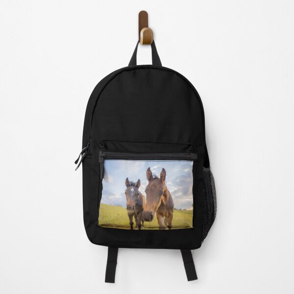Item preview, two curious foals, baby horses, colt & filly designed and sold by PTPhotoLLC.