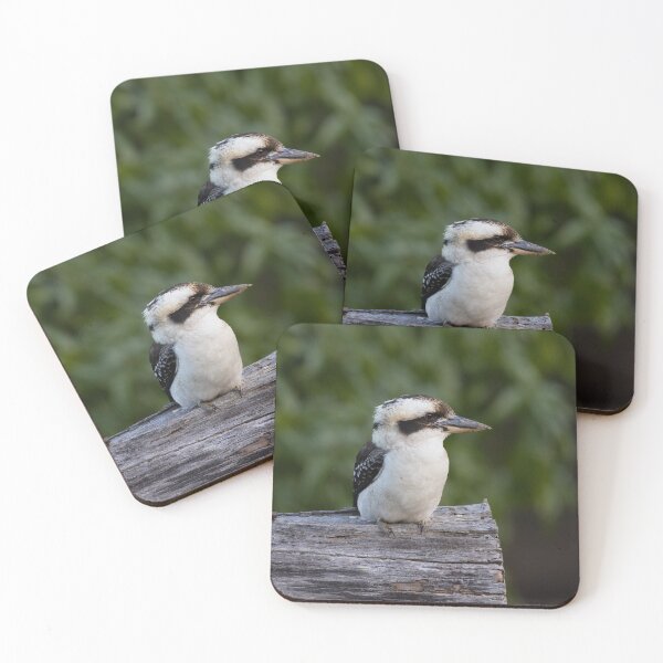 Item preview, Kookaburra contemplates - Kookaburra designed and sold by Tara Smithson.