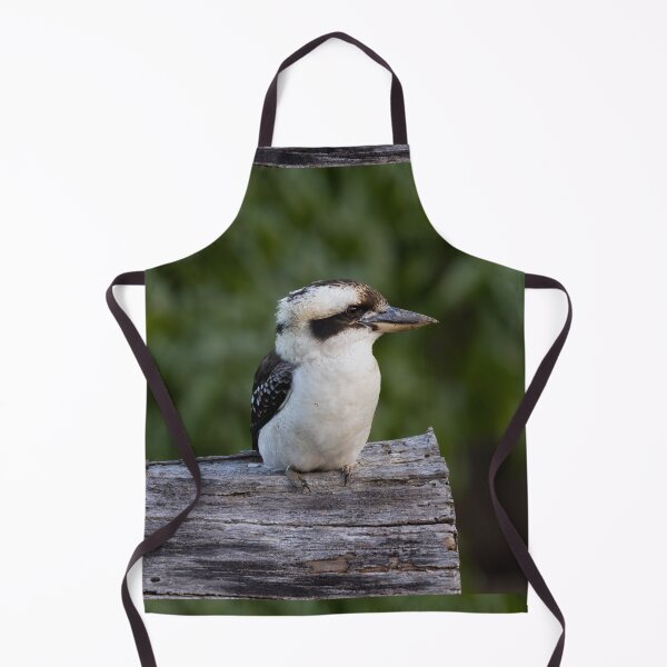 Item preview, Kookaburra contemplates - Kookaburra designed and sold by Tara Smithson.