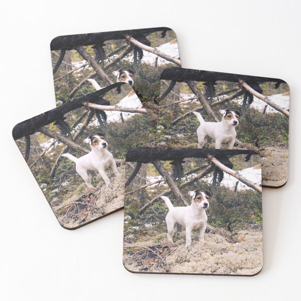 Item preview, Terrier standing on a bed of moss in the forest designed and sold by riku05830.