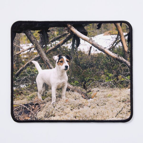 Item preview, Terrier standing on a bed of moss in the forest designed and sold by riku05830.