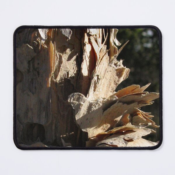 Item preview, Paperbark; study in texture designed and sold by sunrisecoast.