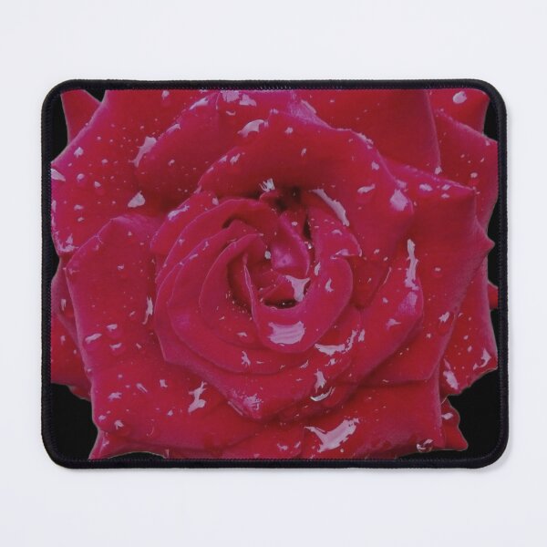 Item preview, Red rose designed and sold by Darcastyc.