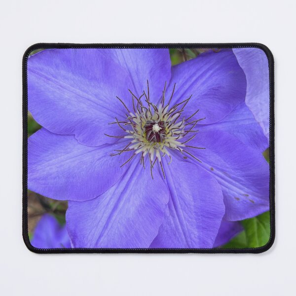 Item preview, Purple clematis designed and sold by raleca78.