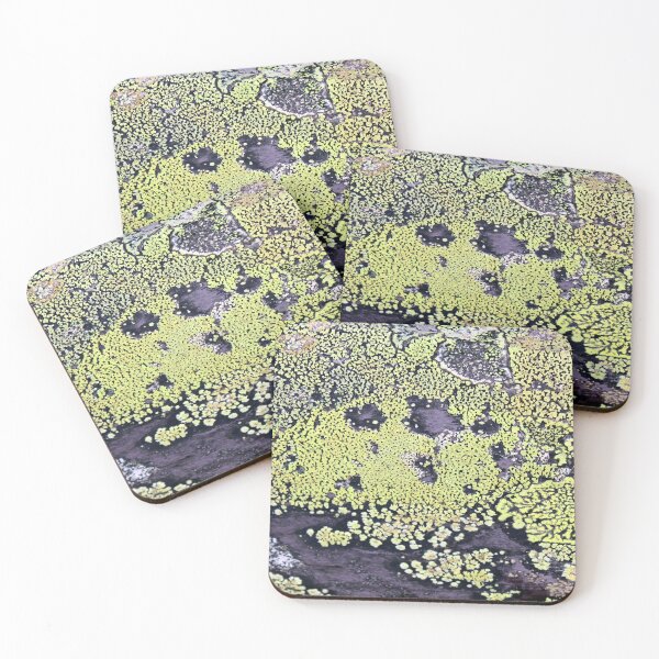 Item preview, lichen designed and sold by KathleenDawson.