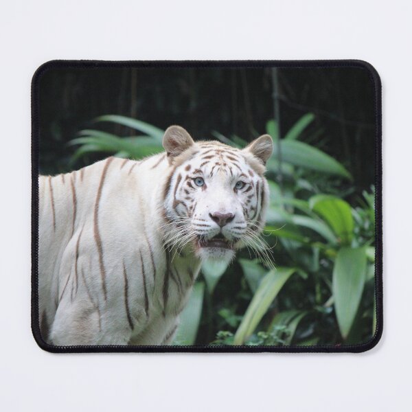 Item preview, Jungle Cat designed and sold by LeanneAllen.