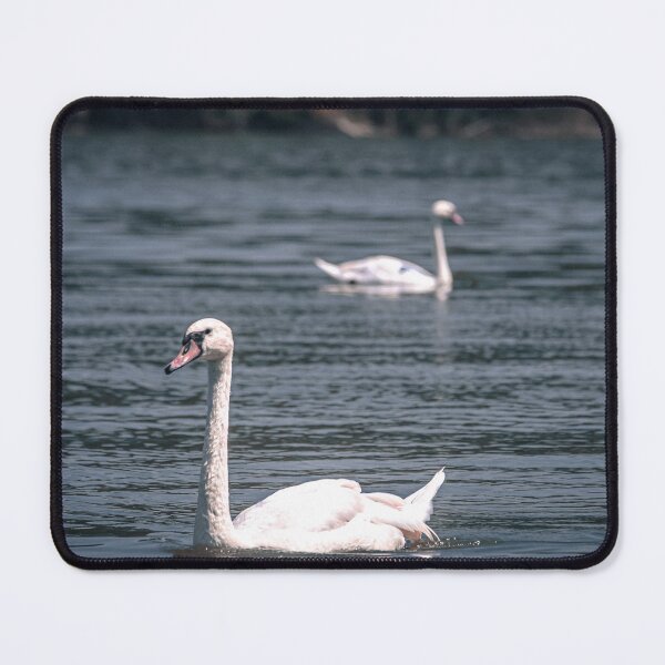 Item preview, Swans are symbol of love designed and sold by Golub-Bella.