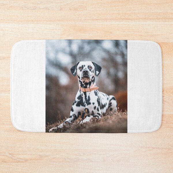 Item preview, Dalmatian Dog Observing  designed and sold by VanGaldo.