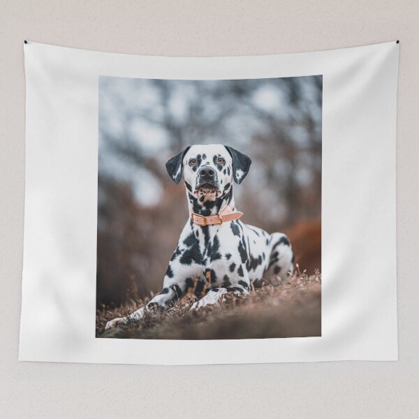 Item preview, Dalmatian Dog Observing  designed and sold by VanGaldo.