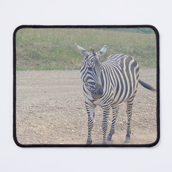 Item preview, Control Desertification and Save Wildlife designed and sold by annenambiro.