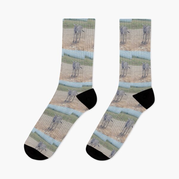 Item preview, Control Desertification and Save Wildlife designed and sold by annenambiro.