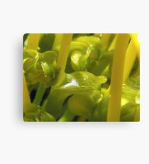 Super Macro Canvas Print