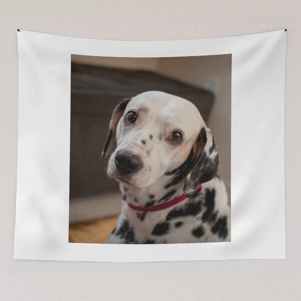 Item preview, Innocent Looking Dalmatian Dog designed and sold by VanGaldo.