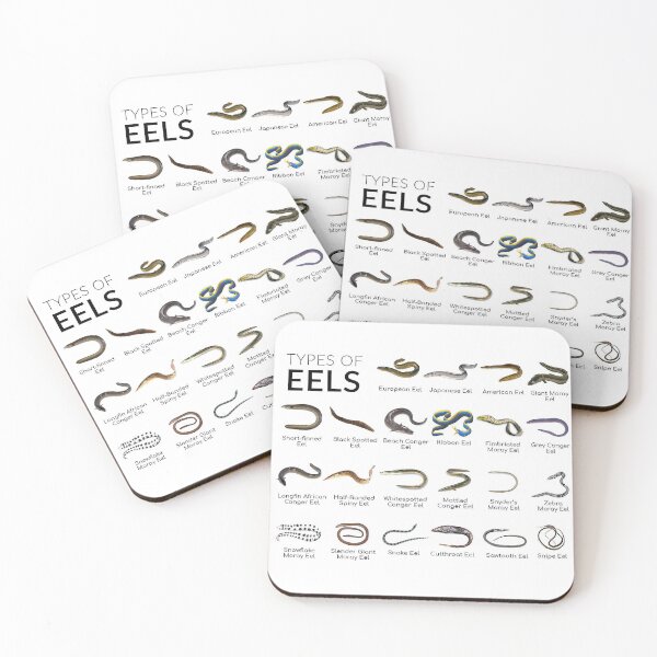 Item preview, Types of eels Types of Morays designed and sold by AzalaiBubbles.