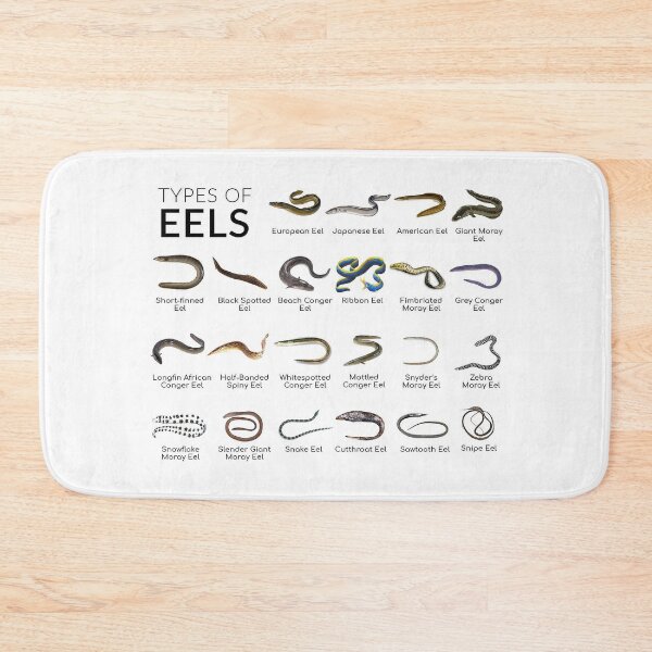 Item preview, Types of eels Types of Morays designed and sold by AzalaiBubbles.