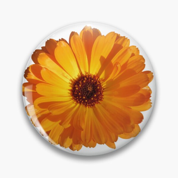 Item preview, Orange Calendula designed and sold by SnapsBySara.