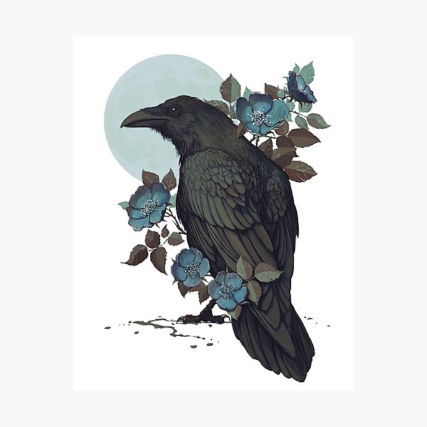 Raven Photographic Print