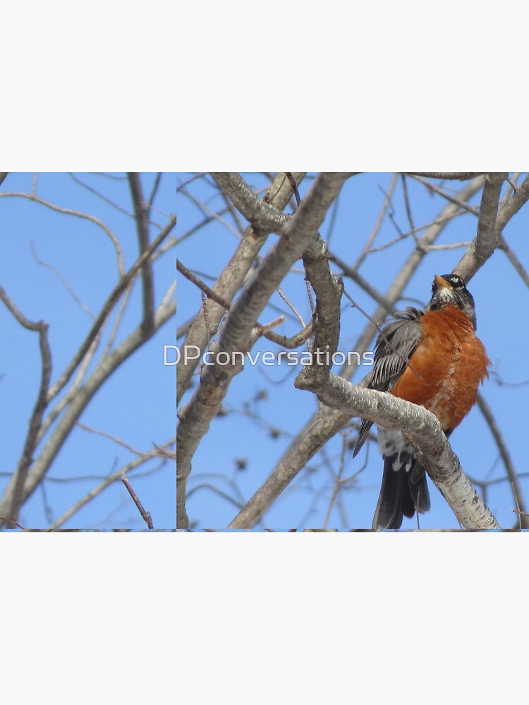My Confidence by DPconversations