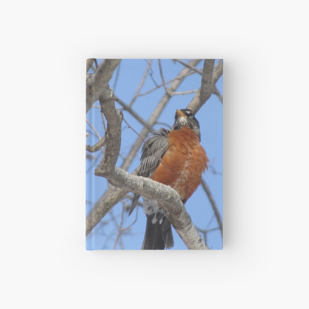 My Confidence Hardcover Journal
