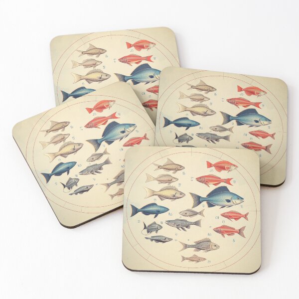 Item preview, "Underwater Diversity: A Visual Fish Chart" designed and sold by LuNkyRose.
