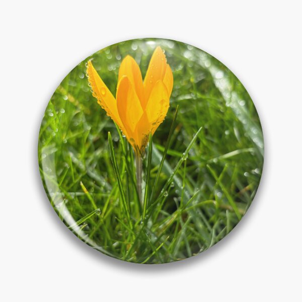 Item preview, Snow crocus designed and sold by Colourful Wonderful.