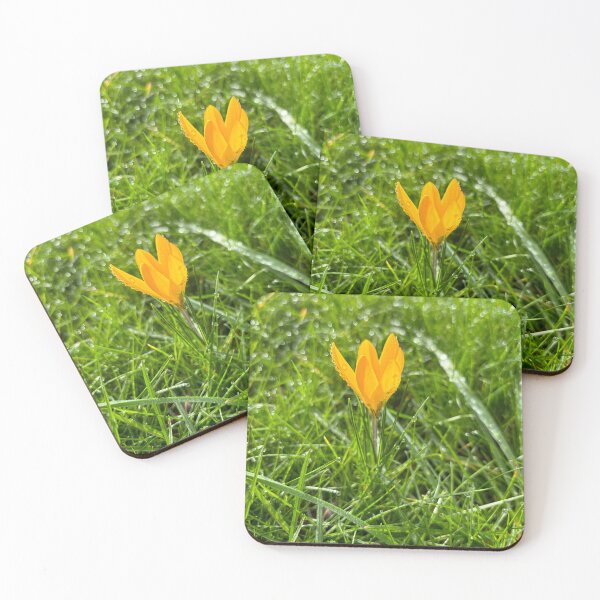 Item preview, Snow crocus designed and sold by Colourful Wonderful.