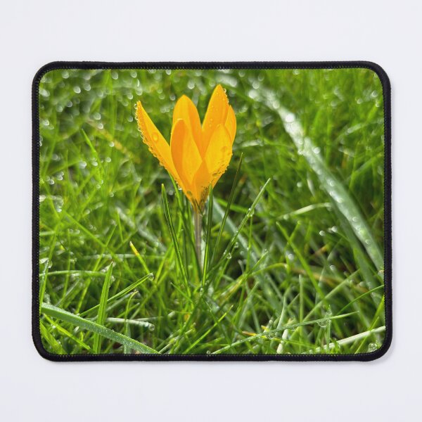 Item preview, Snow crocus designed and sold by Colourful Wonderful.