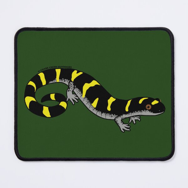 Item preview, Ringed Salamander designed and sold by CraneCreek.