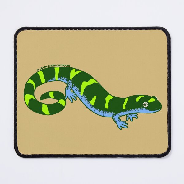 Item preview, Ringed Salamander, Fun Bright Green and Blue designed and sold by CraneCreek.