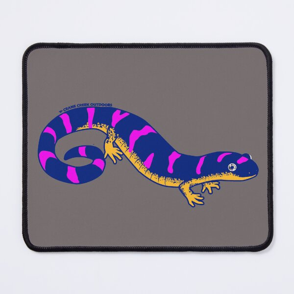 Item preview, Ringed Salamander, Fun Bright Pink and Orange designed and sold by CraneCreek.