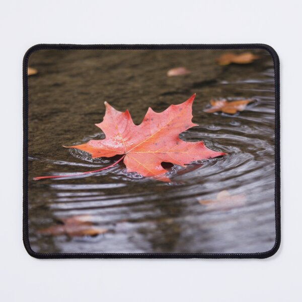 Item preview, Single Red Maple Leaf designed and sold by Hollanding.