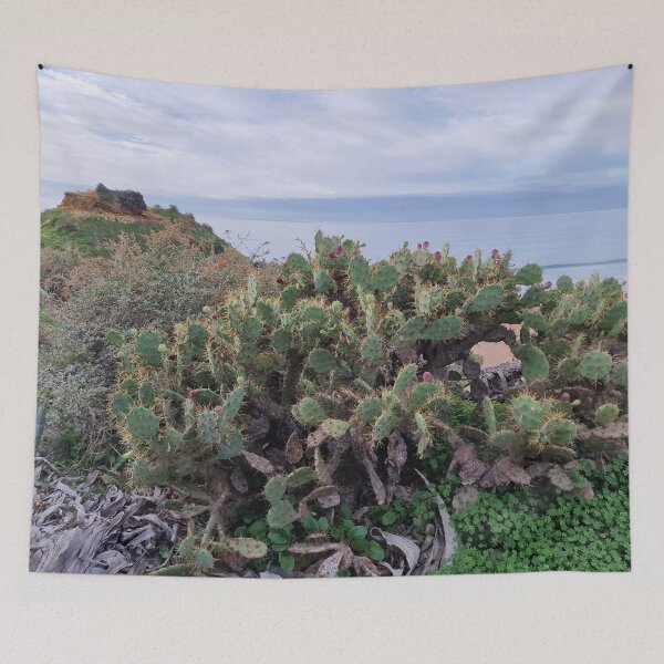 Item preview, Nature, Europe, Portugal, Algarve, cacti, sea, photography, Bebicervin designed and sold by BebiCervin.
