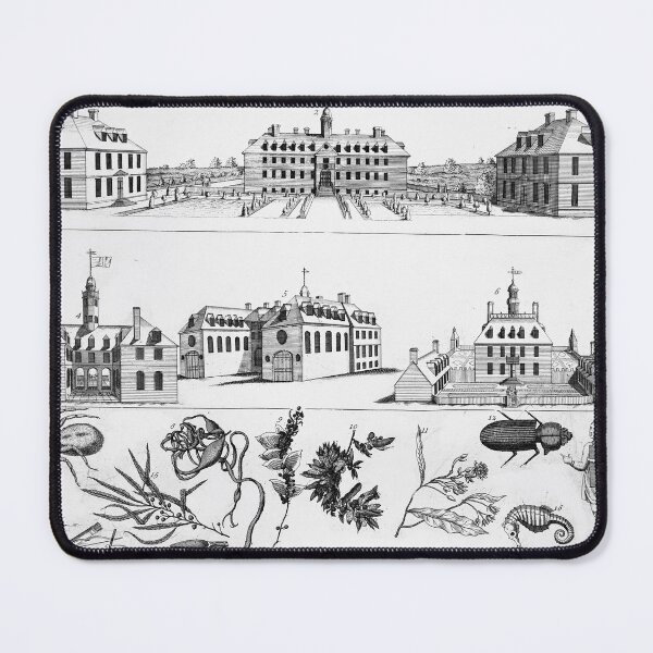 Item preview, Oldest Cities - Colonial Williamsburg, Virginia - Vintage Etching designed and sold by CulturalCurios.