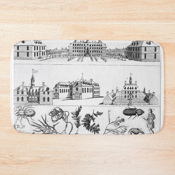 Item preview, Oldest Cities - Colonial Williamsburg, Virginia - Vintage Etching designed and sold by CulturalCurios.