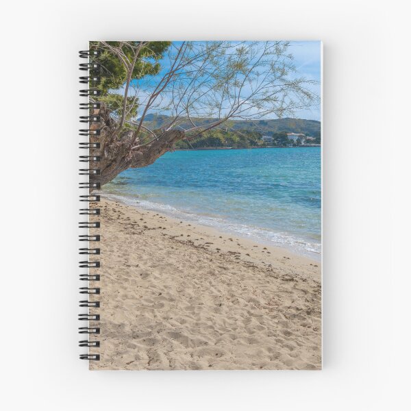 Item preview, Pine Walk Puerto Pollensa designed and sold by GG WALL ART.