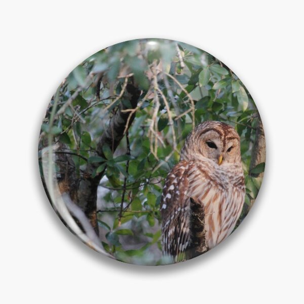 Item preview, Barred Owl Perched On A Branch designed and sold by Cynthia48.